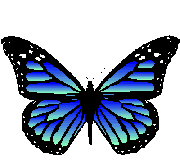 â?· Butterflies: Animated Images, Gifs, Pictures & Animations - 100 ...