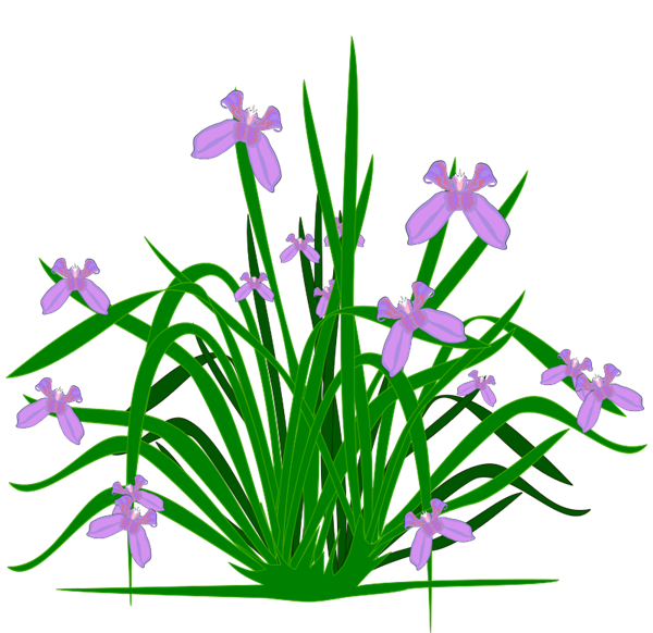 Free clip art plants and flowers