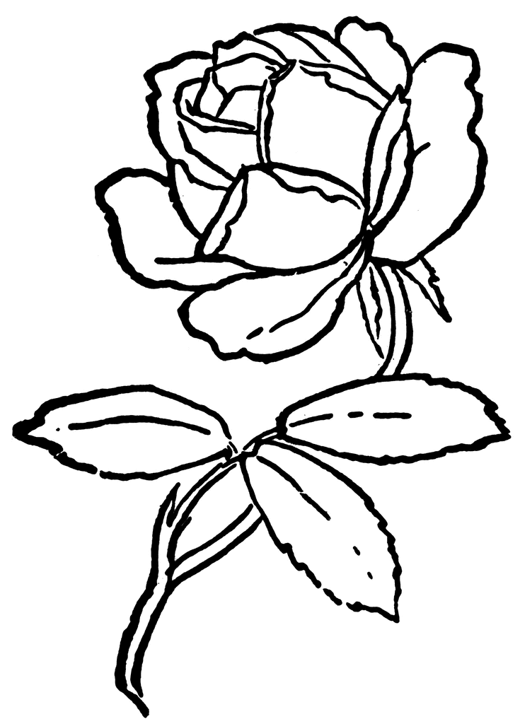 Rose black and white clip art flowers black and white roses ...