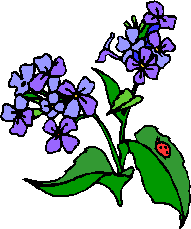 Fleur - ClipArt Best