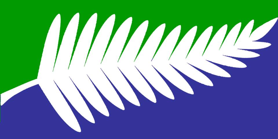 Let's fly this fern | John Ansell