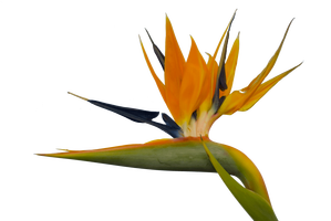 3D , Clipart and Fonts on #Inspirational-Stock - deviantART