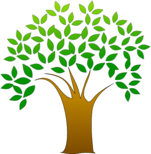 Tree clip art - vector clip art online, royalty free & public domain