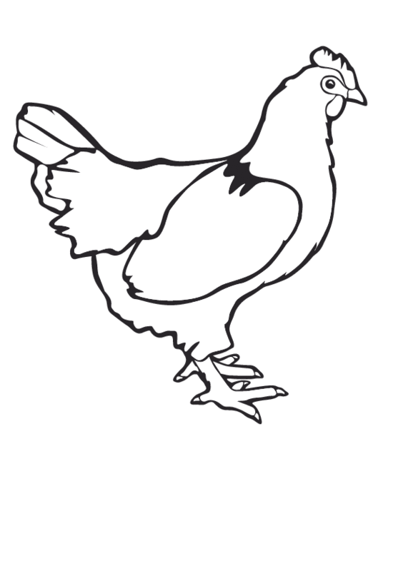 eps chicken printable coloring in pages for kids - number 2443 online