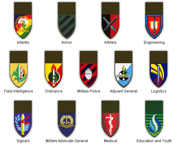 Israel Defense Forces insignia - Wikipedia