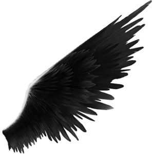 Angel Wings - Polyvore