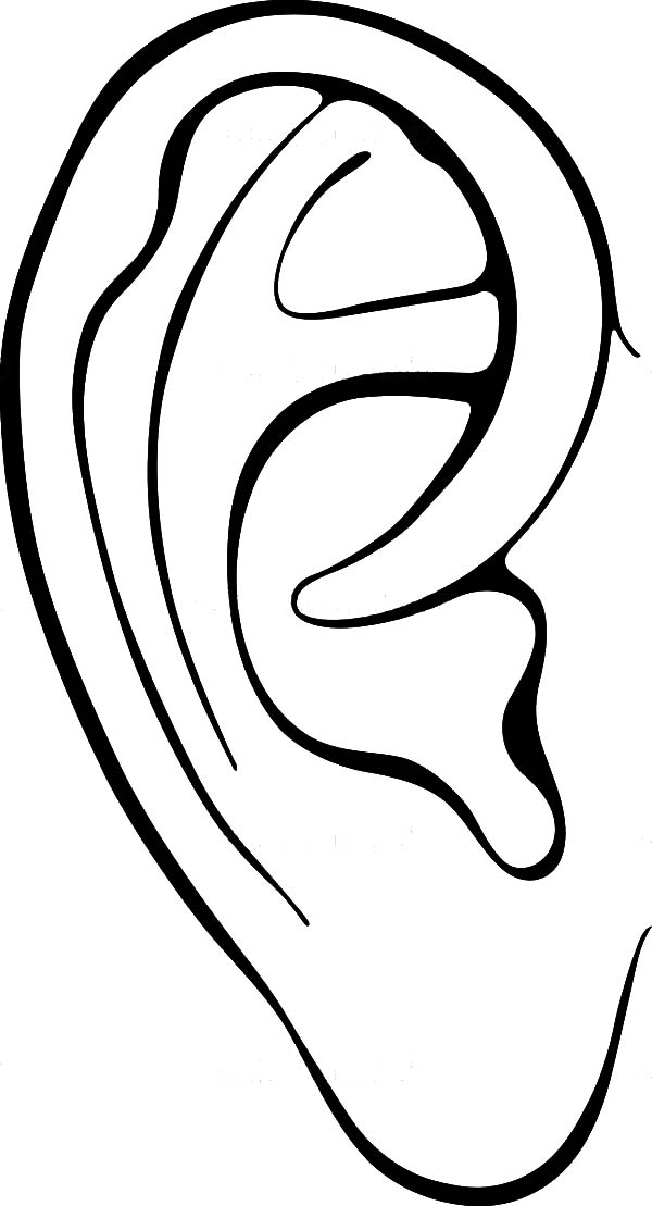 Preschool Kid Learning Ear Coloring Pages | Kids Play Color