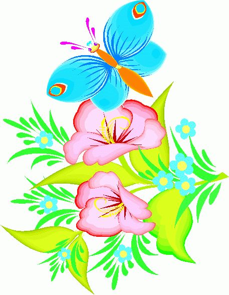 Colorful butterfly on flower clipart - ClipArt Best - ClipArt Best