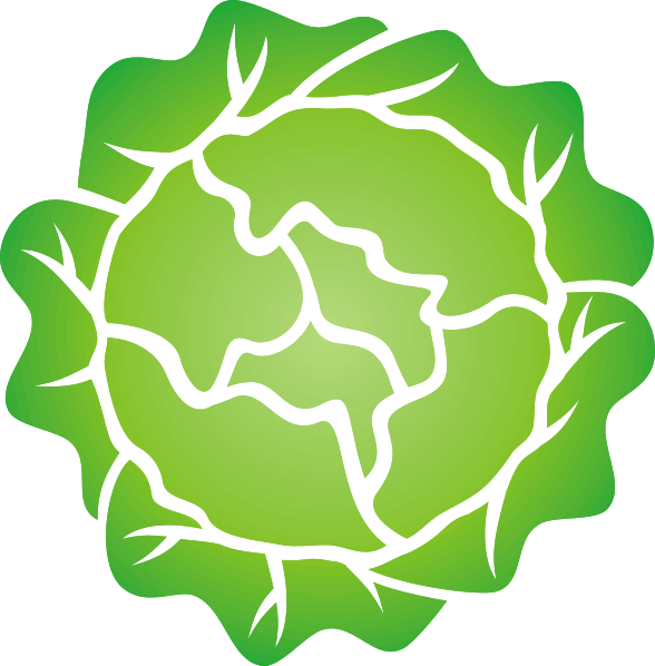 Lettuce Clipart