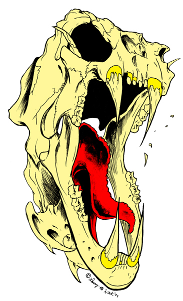 Lion Skull - Illustration by Larry West