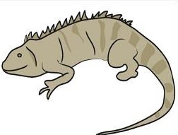 Free Iguana Clipart
