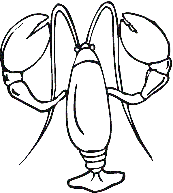 Lobster Pictures For Kids | Free Download Clip Art | Free Clip Art ...