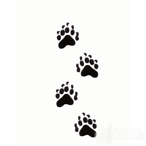 Bear Paw Prints