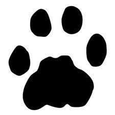 Avoiding Cougar Attacks