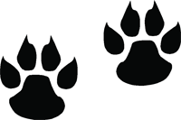 Paw Print Stickers | Paw Print Decals - Car Stickers