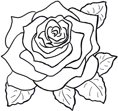How To Draw Roses | Drawing ...