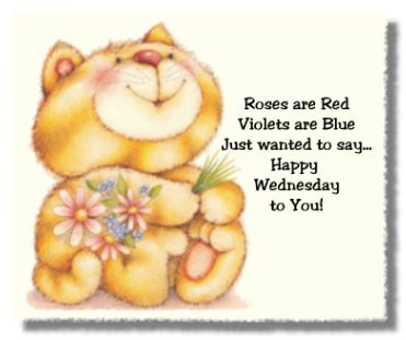 Roses Are Red Violets Are Blue Just Wanted To Say Happy Wednesday To You