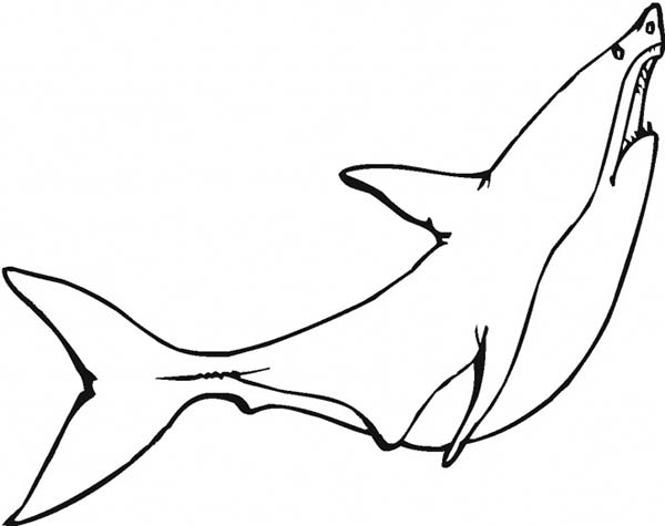 A Great White Shark is Ready to Jump Up from the Water Coloring ...