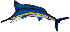 Custom Vector Images From Photos by Hulaweb