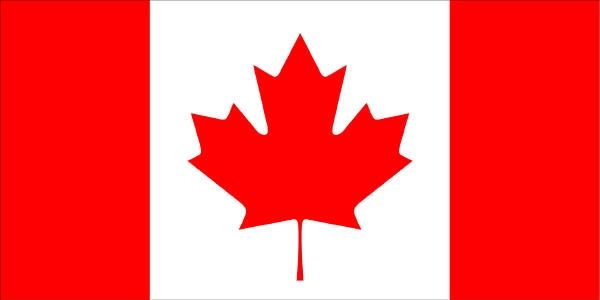 How to Make a Canadian Flag Sheet Cake
