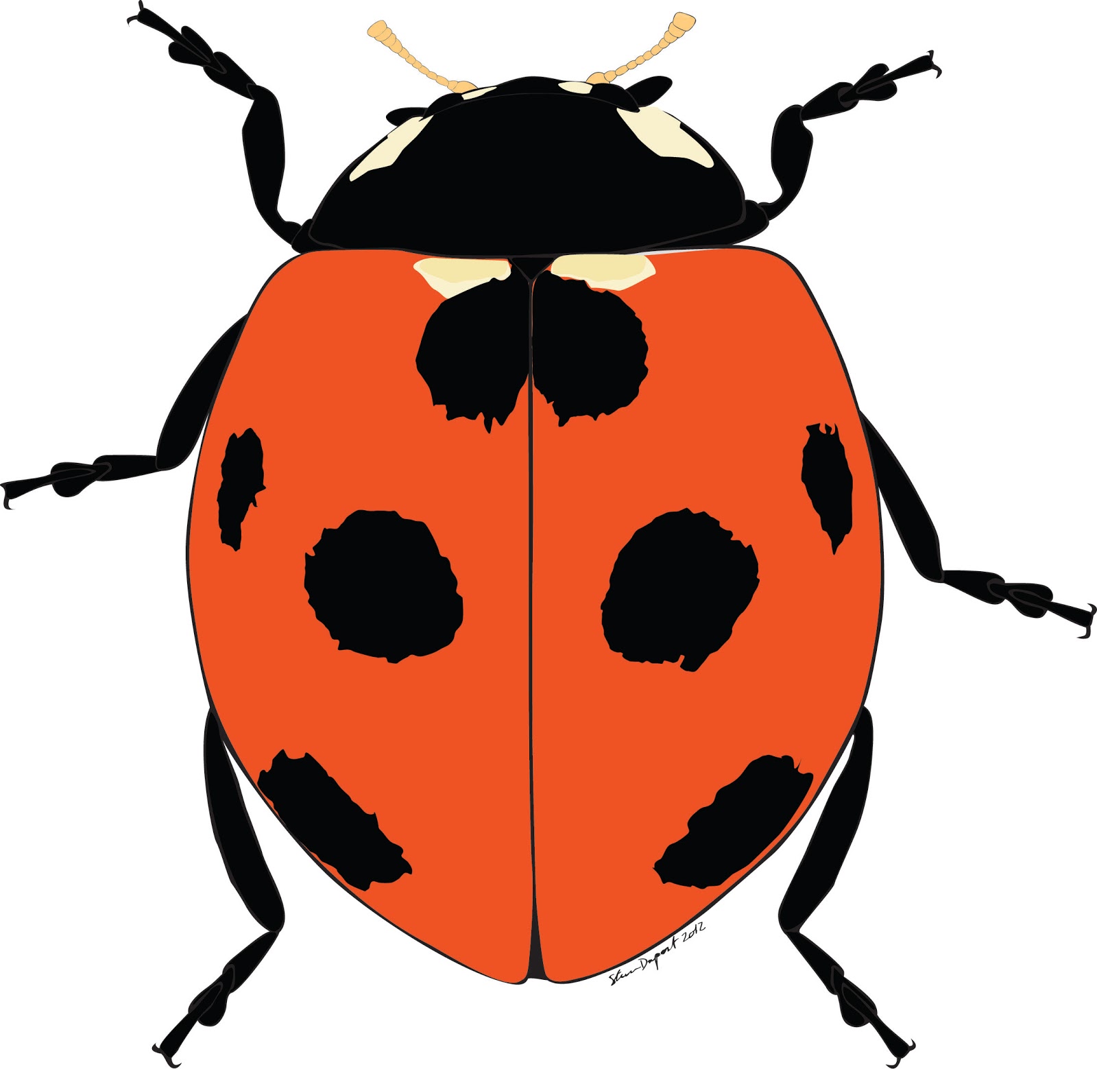 lady bug drawing #Ladybug4 | 119 Ladybug Silhouette | Tiny Clipart
