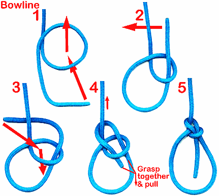 Bowline Knot Diagram - ClipArt Best