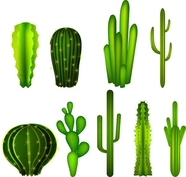 Cactus free vector download (50 Free vector) for commercial use ...