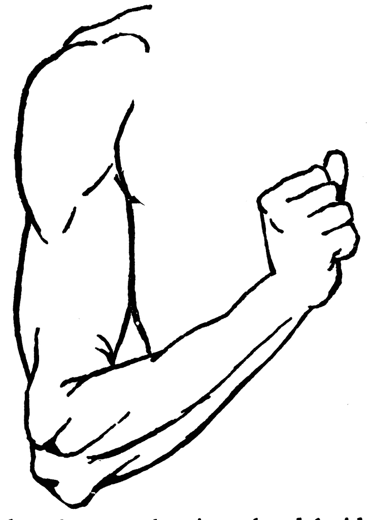 ARM - Brand