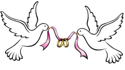 Wedding Doves ~ Wedding Plans Galleries