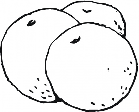 Oranges coloring pages | Super Coloring