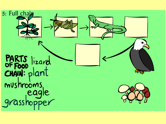 Food Chain Game Archives | BrainPOP Educators