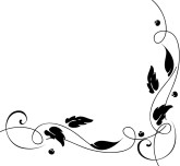 img_1236298365697_801.jpg