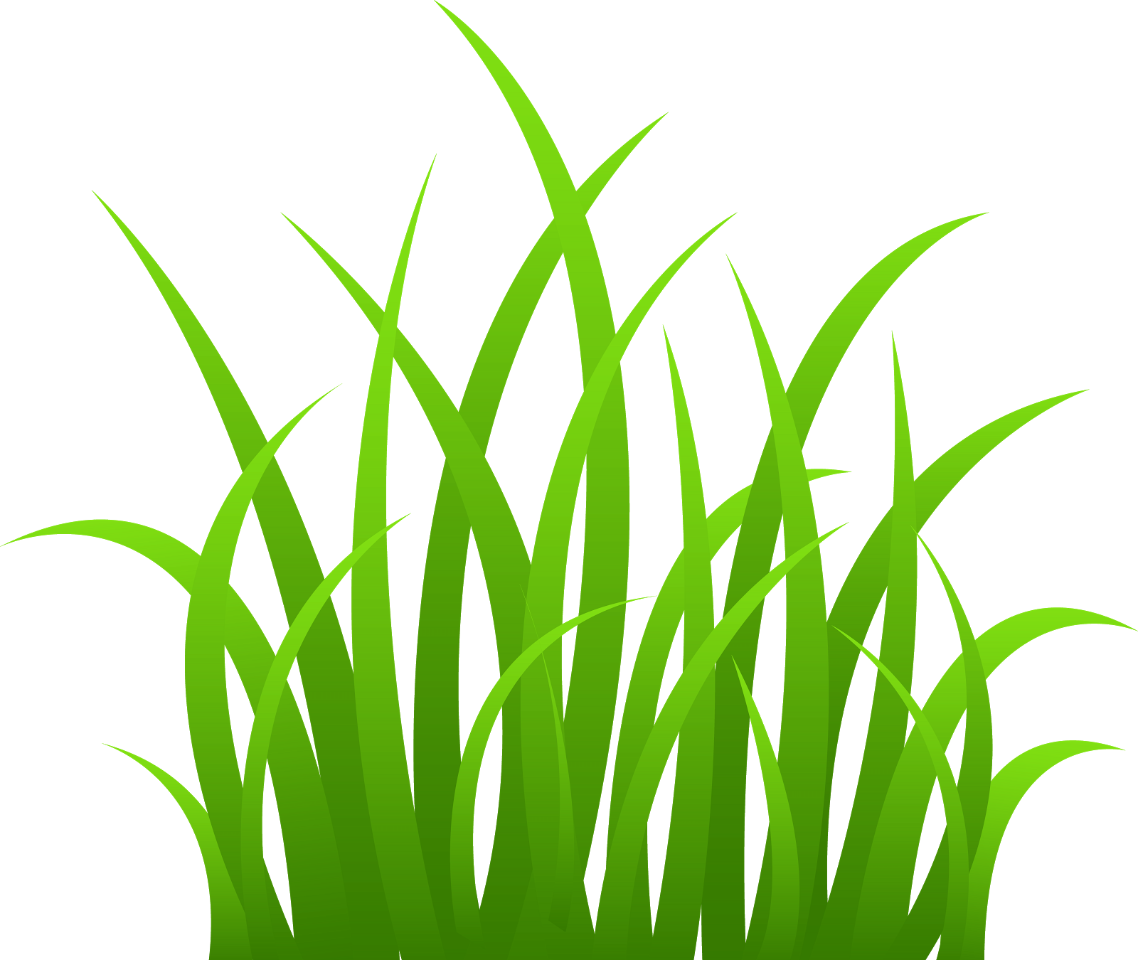 free stock photos: Strands Green Grass Free Clip Art