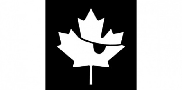 Canadian Pirates clip art | Download free Vector