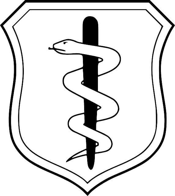 SNAKE, STATES, SYMBOL, DOCTOR, SHIELD, HEALTH, BADGE - Public ...