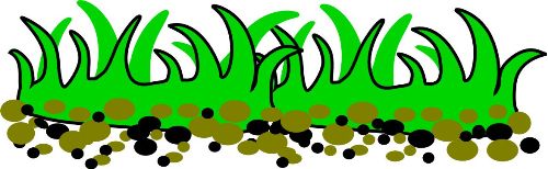 Grass clip art images free clipart images clipartix - Cliparting.com