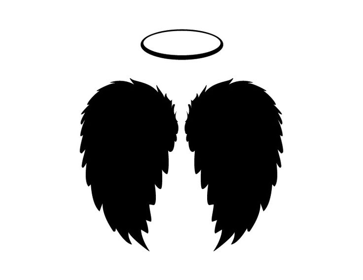 1000+ images about Angel Wings