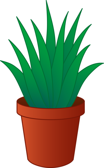 Gardener Alert – Free Plant Exchange! | DealTrackerSF