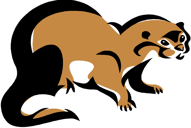Otter Clipart - Tumundografico
