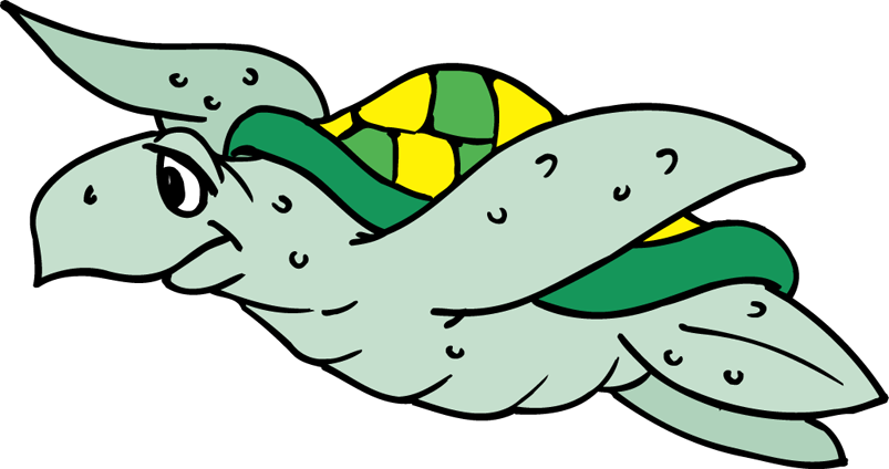World Turtle Day