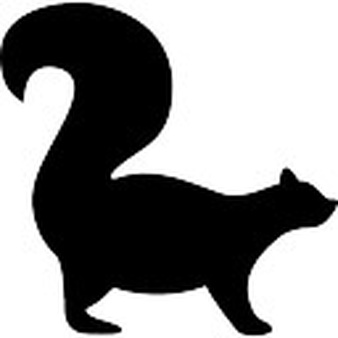 Squirrel face frontal outline Icons | Free Download
