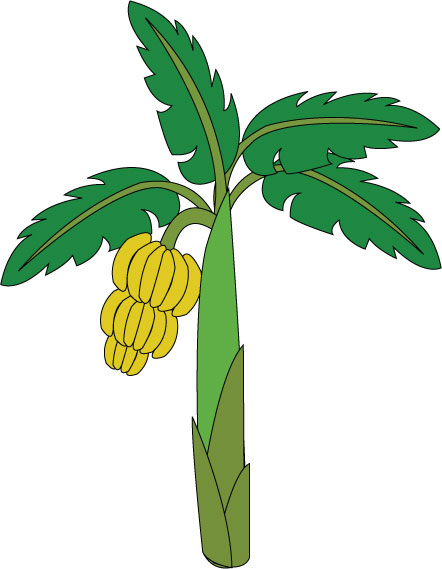 Banana plant clipart