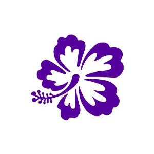 Hawaiian Flower Graphics - ClipArt Best