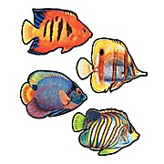 fish cut outs