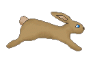 fast.gif