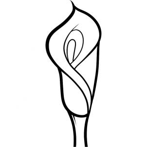 Flowers - How to Draw a Lily for Kids, Calla Lily
