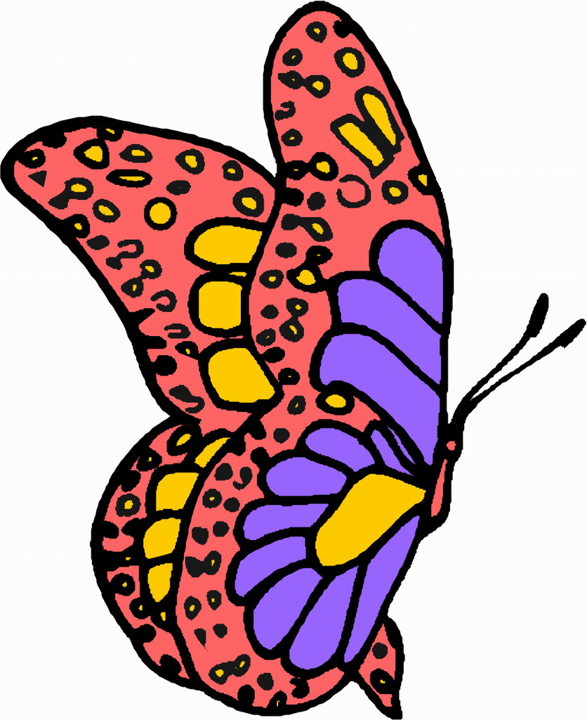 Cartoon Butterflies - ClipArt Best