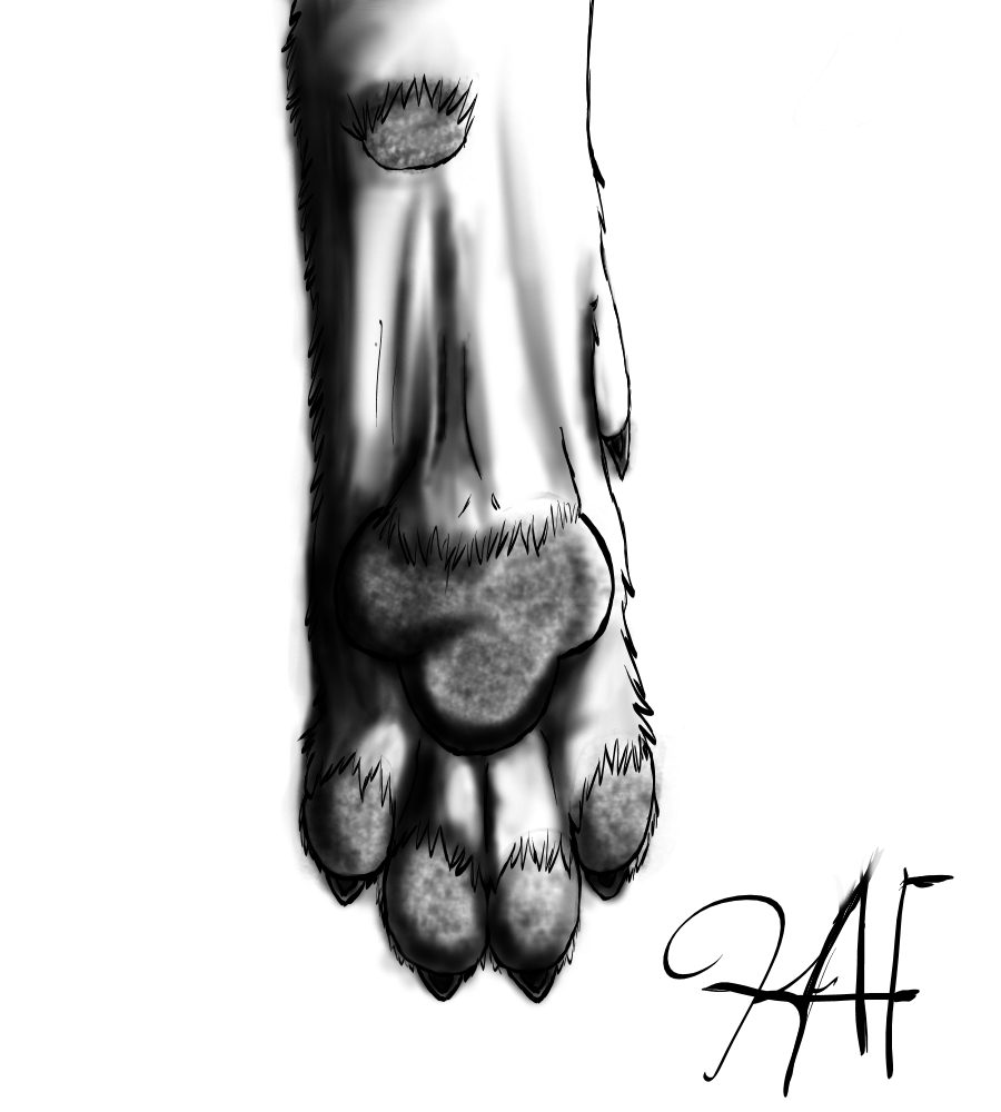 Wolf Paw Test
