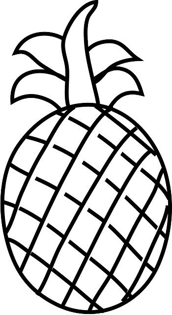 Fruit Outline Clipart
