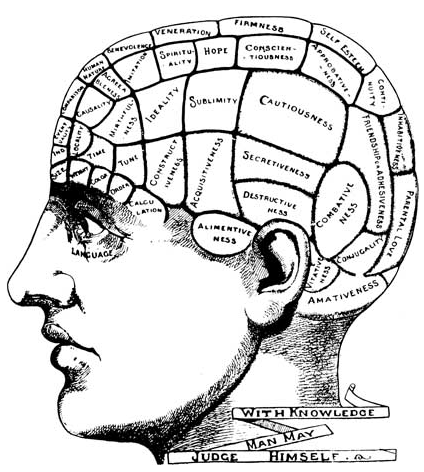 Brains Drawing - ClipArt Best